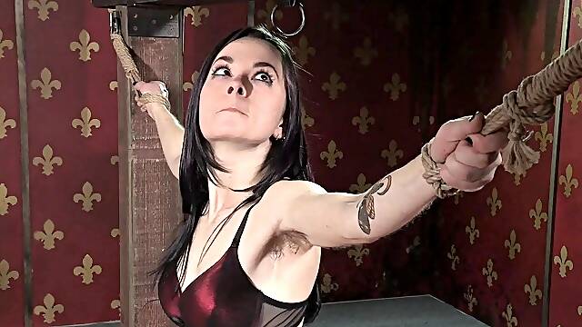 BDSM vids