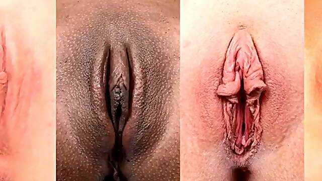 Συλλογες, Καυτο Μουνι