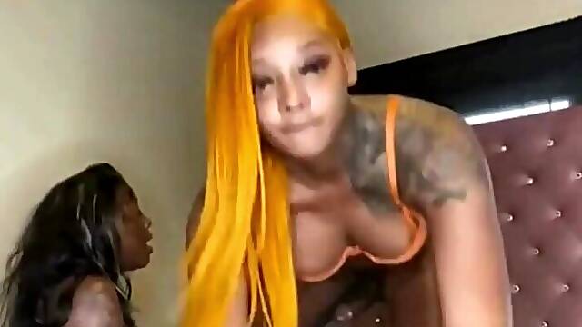 Shemale Vids