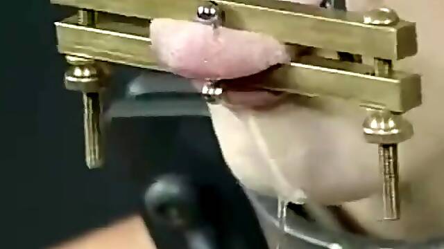 Insex - Tested