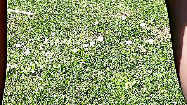 Sunny Day, Black Nylons and My Kinky Mood: Part 1